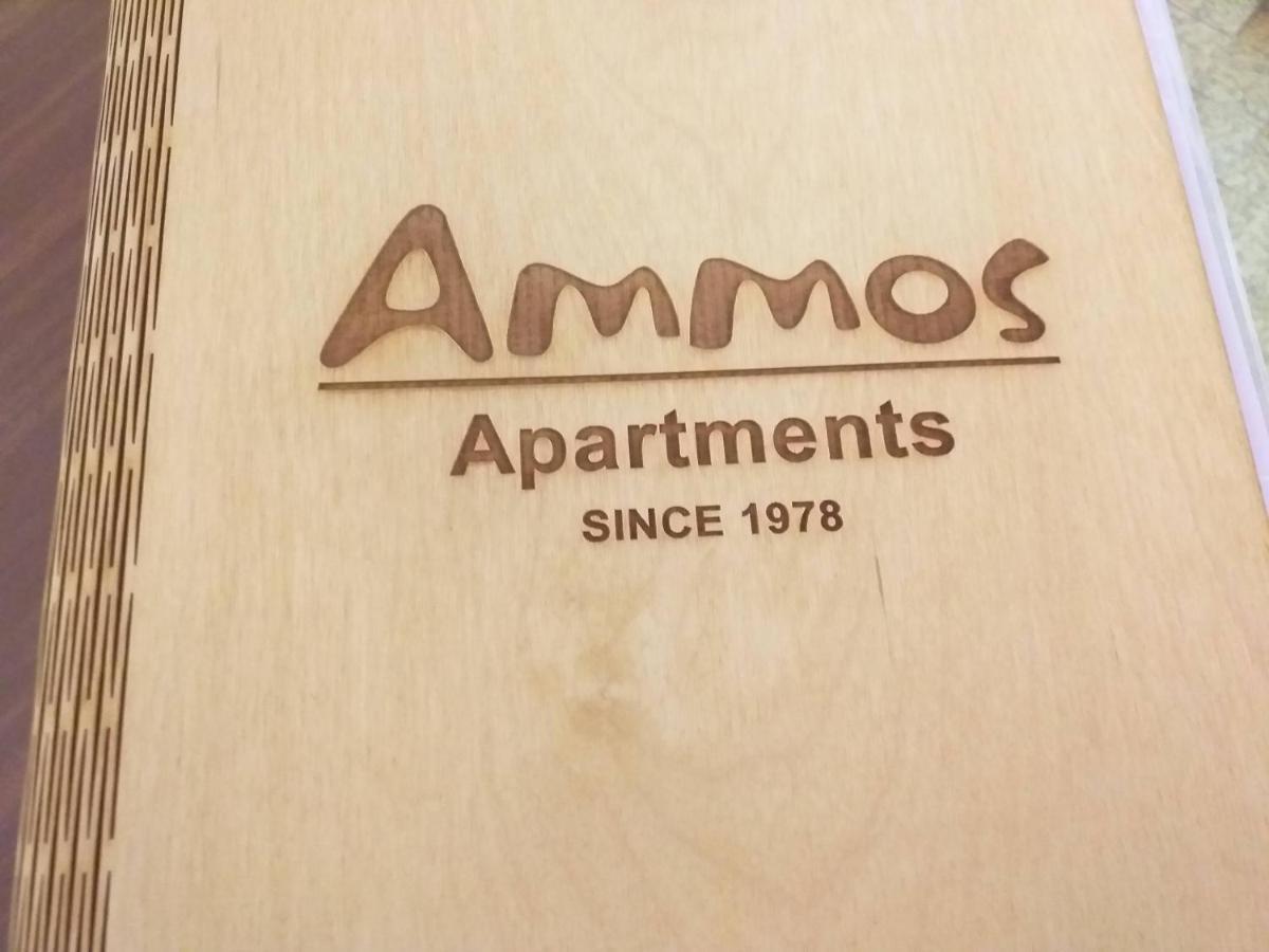 Ammos Apartments アイオス・ニコラオス エクステリア 写真